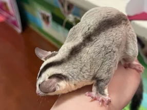 Momonga Nursery School 2