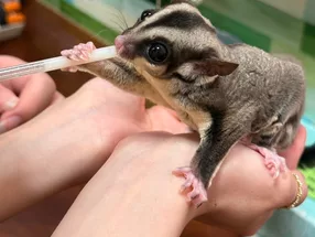ももんが保育園 1